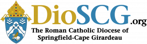 dioscg logo